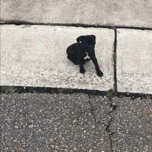 Meet your Posher, Summer